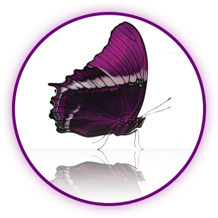 About - Michele Louie