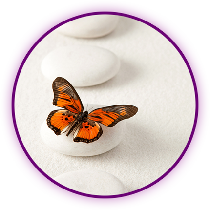 Animal Communicator - Michele Louie